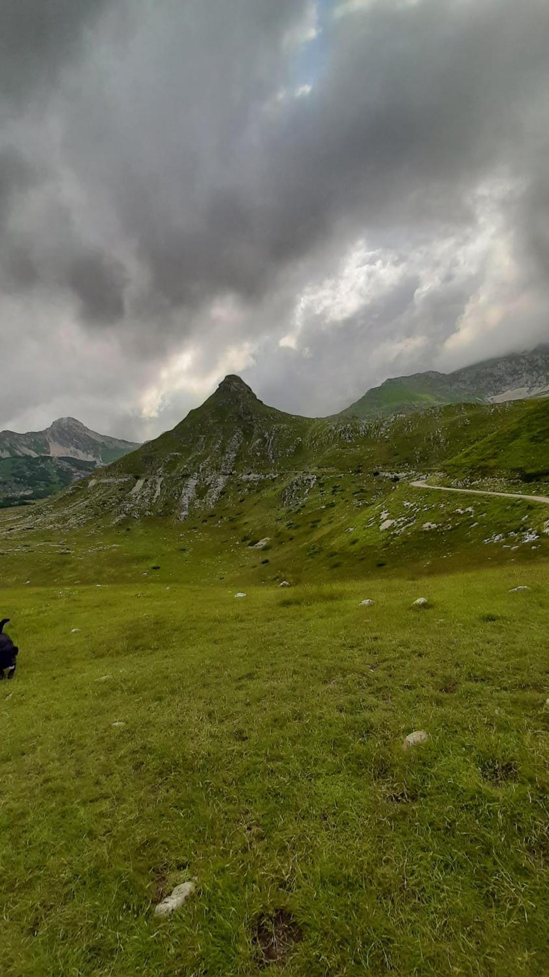 Apartments Durmitor Žabljak Exterior foto
